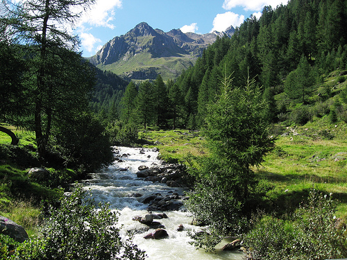 Stelvio National Park (Parco nazionale dello Stelvio)